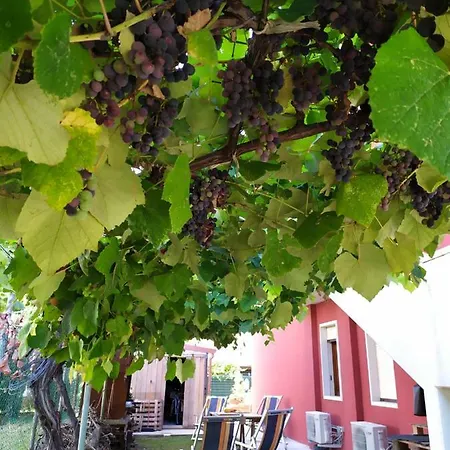 Casa Giovanni Lägenhet *