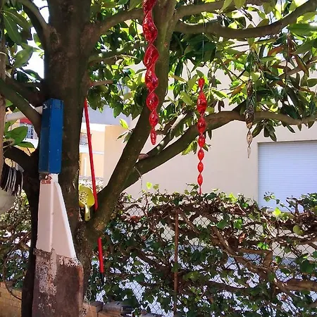 Casa Giovanni לידו די ג'סולו